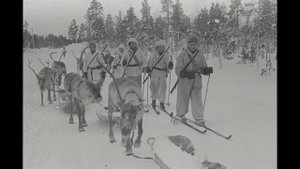 Säkkijärven polkka (instrumental)