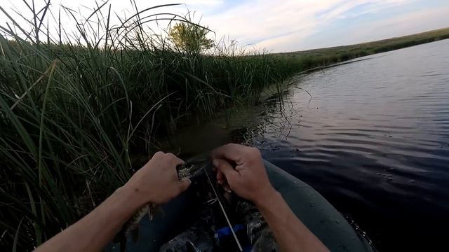 Флюрокарбоновый поводок Решает. Окунь и Щука на вертушку