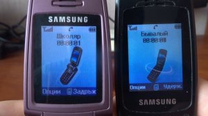 Incoming call & Outgoing call at the Same Time Samsung X300 +X160