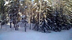 Станция Юра Северной железной дороги. Поезд на Воркуту