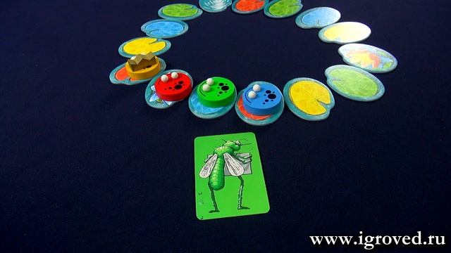 Квароль лягушек. Обзор настольной игры от Игроведа