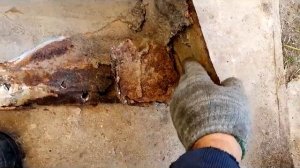 Разбор фольксваген Т4. Из чего состоит плоскость задней арки.