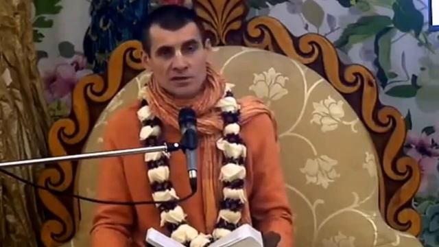 Вальмики дас - Как коровы помогают в воспевании Святого Имени