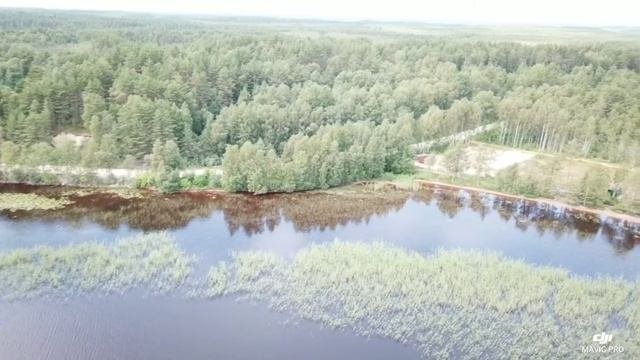 Эко туризм в Карелии Озеро Сямозеро