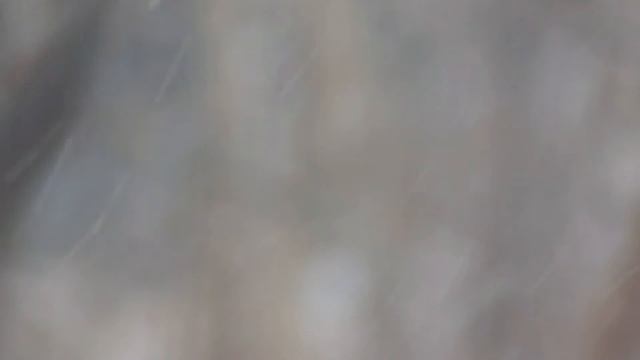 Снег идёт в Волгограде на Спартановке весной 29 марта 2019 года смотреть онлайн