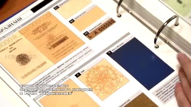 Служба пограничников в аэропорту Шереметьево смотреть онлайн