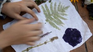 пытаюсь отпечатать растения на ткани (но получается не всегда) || экопринт на ткани