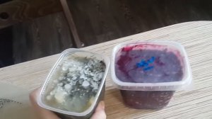 Первые заготовки. Щавель