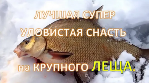 ЛУЧШАЯ СУПЕР УЛОВИСТАЯ СНАСТЬ на КРУПНОГО ЛЕЩА..mp4