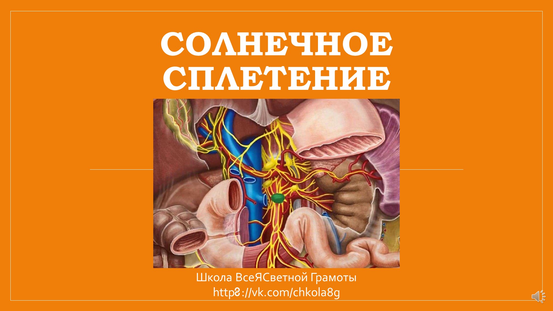 Солнечное сплетение. ВсеЯСветная Грамота