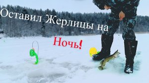 Оставил ЖЕРЛИЦЫ на НОЧЬ | ЛОВЛЯ ЩУКИ на ЖИВЦА !