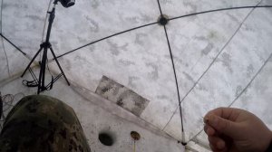 ЛОВЛЯ ЛЕЩА НА ПОПЛАВОК. РЫБАЛКА В ПАЛАТКЕ. Зимняя рыбалка на леща