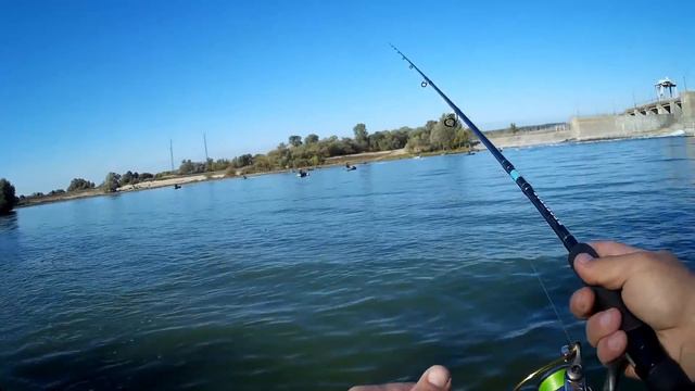 Ловля окуня на Lure Max 2-я часть. смотреть онлайн