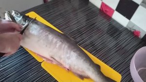 Солим красную рыбу кета