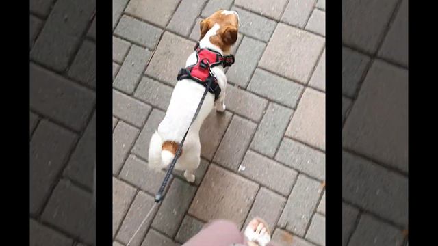 30 июля 2022 г. смотреть онлайн