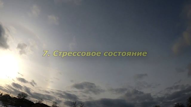 Почему кошка лижет руки смотреть онлайн