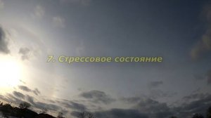 Почему кошка лижет руки