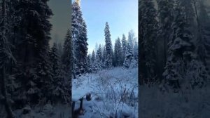 рыбалка,отдых, Архангельская обл., позитив,