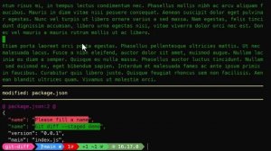 Protip Git #13 : vérifier avant de commiter