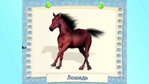 Обучающие мультфильмы для малышей "Животные, птицы и насекомые"