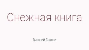 Снежная книга