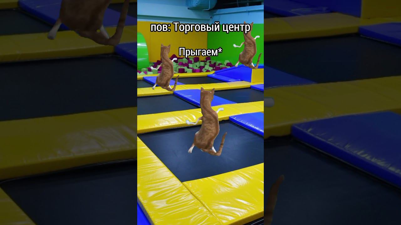 пов: Торговый центр #2024 #мем #коты #мемы #пов #рек #рил #рекомендации #скоролето