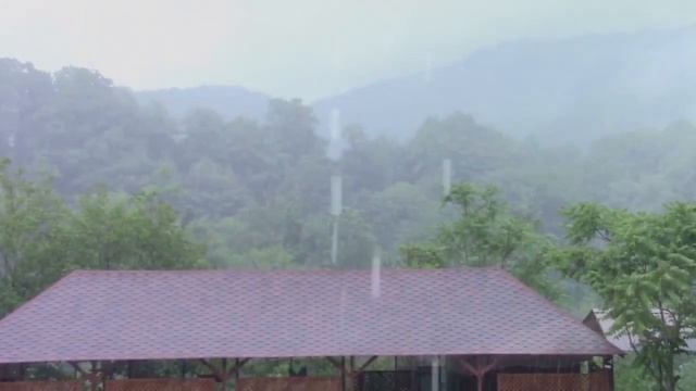 2017_06_07_ПЛАСТУНКА_СОЧИ.mp4 смотреть онлайн