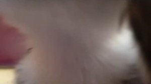 Гламурная попутчица в поезде