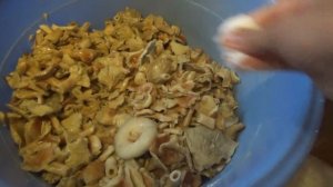 Как Засолить Волнушки / ДОВЕЛИ- СОРВАЛАСЬ/