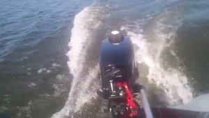 Flinc 320 la mercury 3.3