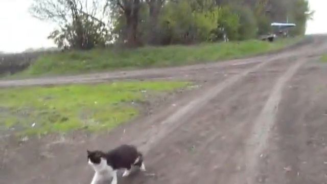 ПРОСЯНАЯ