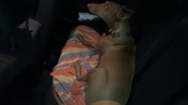 БЕДА СРЕДИ НОЧИ. СПАСЕНИЕ. смотреть онлайн