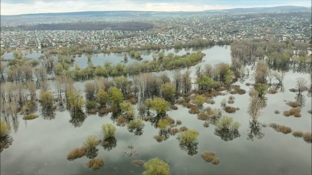 Река Сок, разлив 2021. Старосемейкино