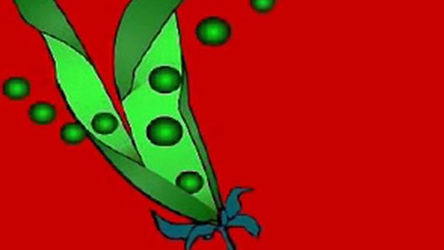 Способы распространения семян смотреть онлайн