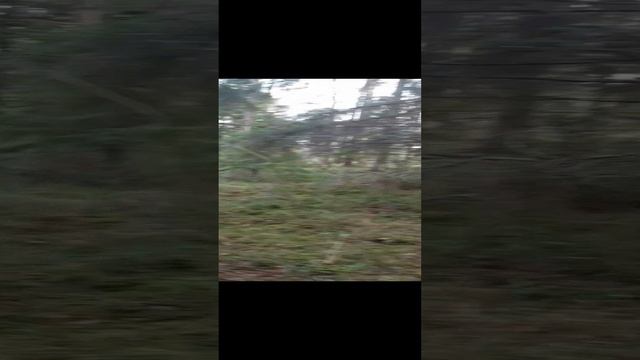 Северные края...