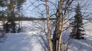 3 дня в лесотундре. Кашкаранцы. Терский берег.