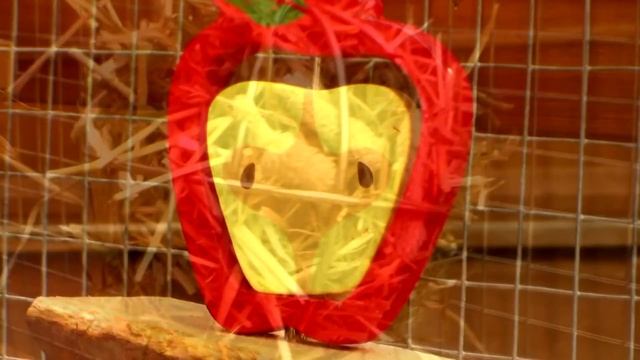 Summer Lodge Hutch Tour: April 2015 | RosieBunneh смотреть онлайн