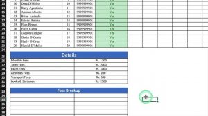 Student FEE RECORD System in Excel / Manage Your Student Fee Record with Excel