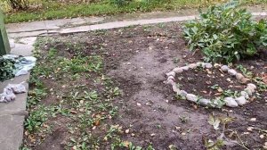 Земля для "цветочного винегрета" . Цель: создать  цветочный сад на большей части всего участка. Ч 1