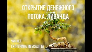 Медитация Открытие денежного потока. @livanda_meditation Ливанда.