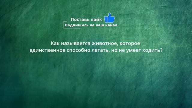 Вы много знаете?! ТЕСТЫ НА ЭРУДИЦИЮ и проверку ЗНАНИЙ. 22 вопроса за 5 минут с вариантами ответов.