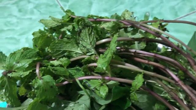 Cá HỒNG Chiên CHÁY KHÉT смотреть онлайн