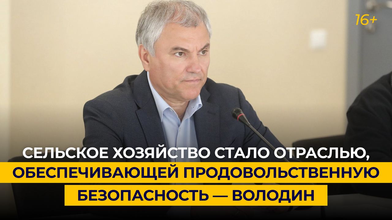 Сельское хозяйство стало отраслью, обеспечивающей продовольственную безопасность — Володин