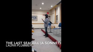 The Last Seagull (A Sonnet) - Poem by Laura Plummer