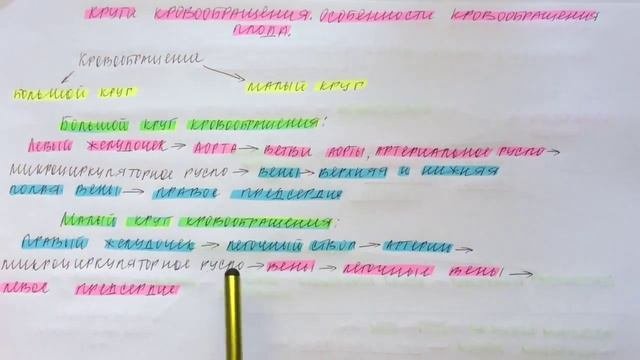 Билет 060. КРУГИ КРОВООБРАЩЕНИЯ. ОСОБЕННОСТИ КРОВООБРАЩЕНИЯ ПЛОДА.