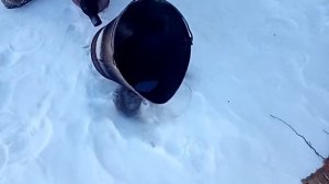 Замёрзла соляра, что делать!?