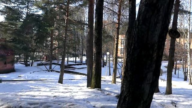 Детский городок Андерсенград в Сосновом Бору