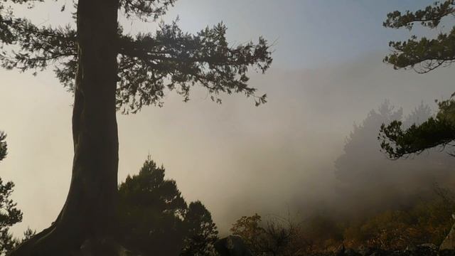 Симеиз 30 Октября 2023 Крым Луна Рассвет Закат Туман смотреть онлайн