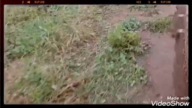 в полях Пермской области смотреть онлайн