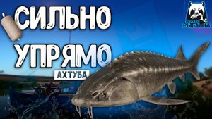 RF4 КОНКРЕТНО ДЕРНУТ С РЕЗКИМИ РАЗМОТАМИ #рр4